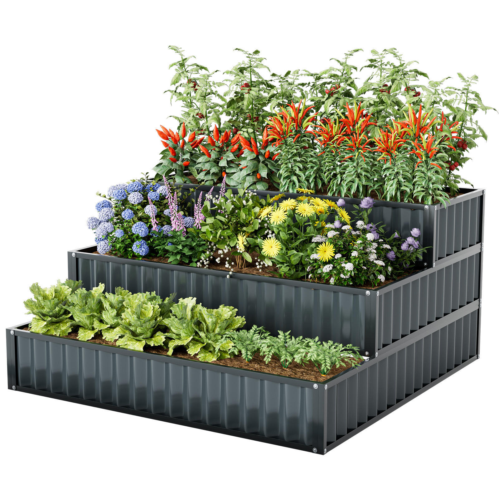 HOCHBEET Schwarz - Schwarz, Metall (118/61/118cm) - COSTWAY