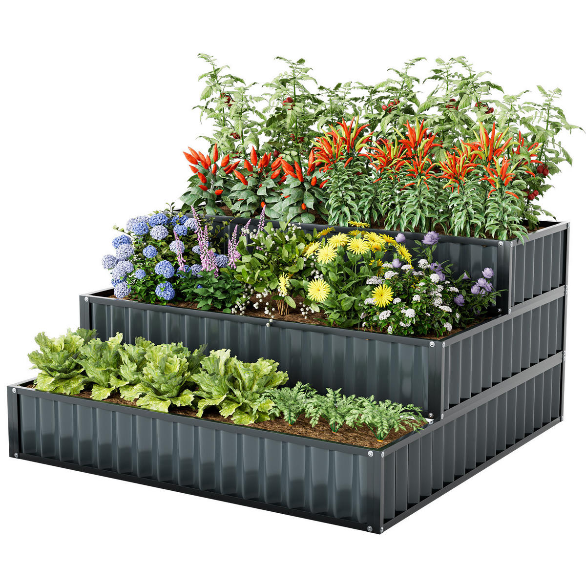 HOCHBEET Schwarz - Schwarz, Metall (118/61/118cm) - COSTWAY