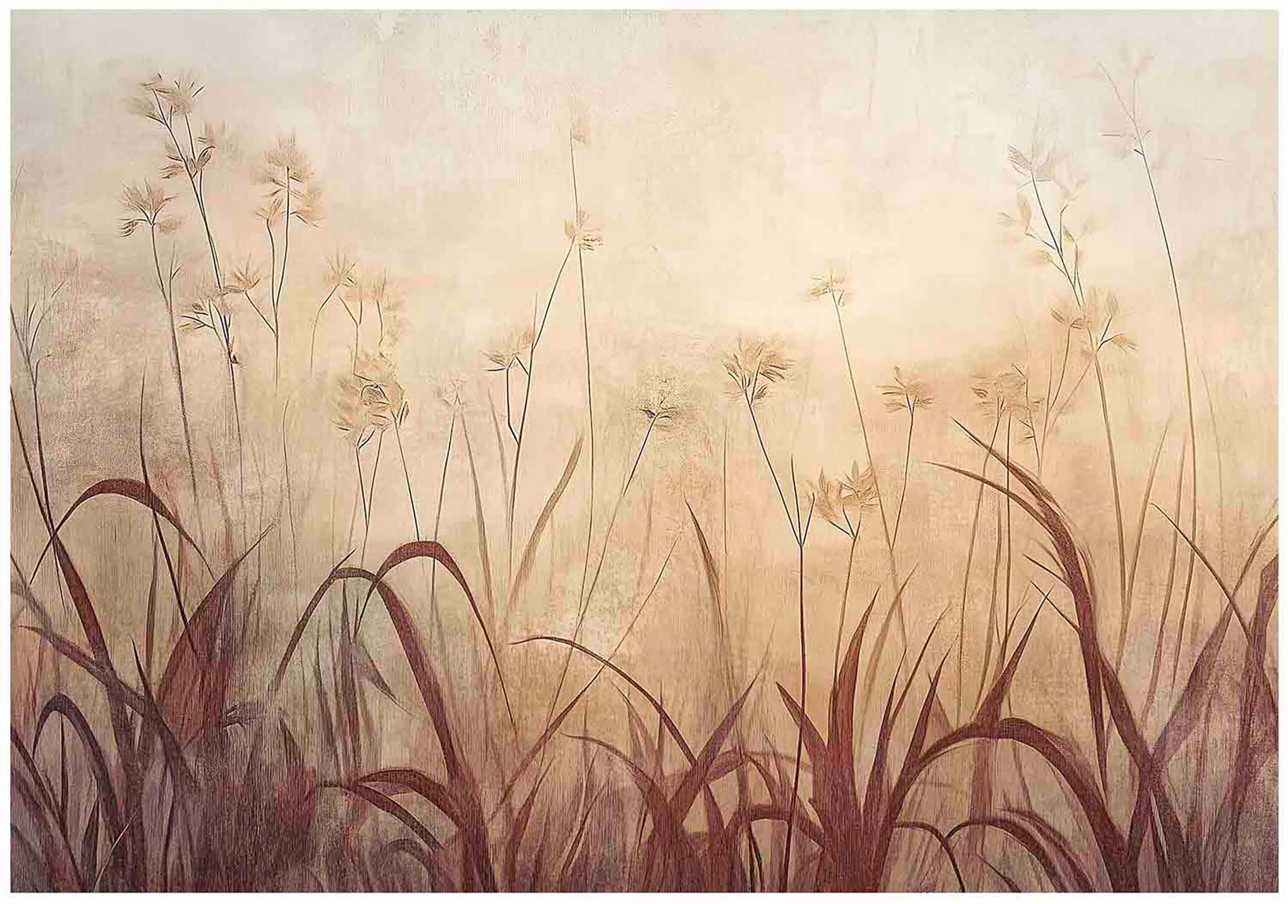 FOTOTAPETE Gras Boho Wohnzimmer 400x280 - Multicolor, Papier (400/280cm) - Wallarena