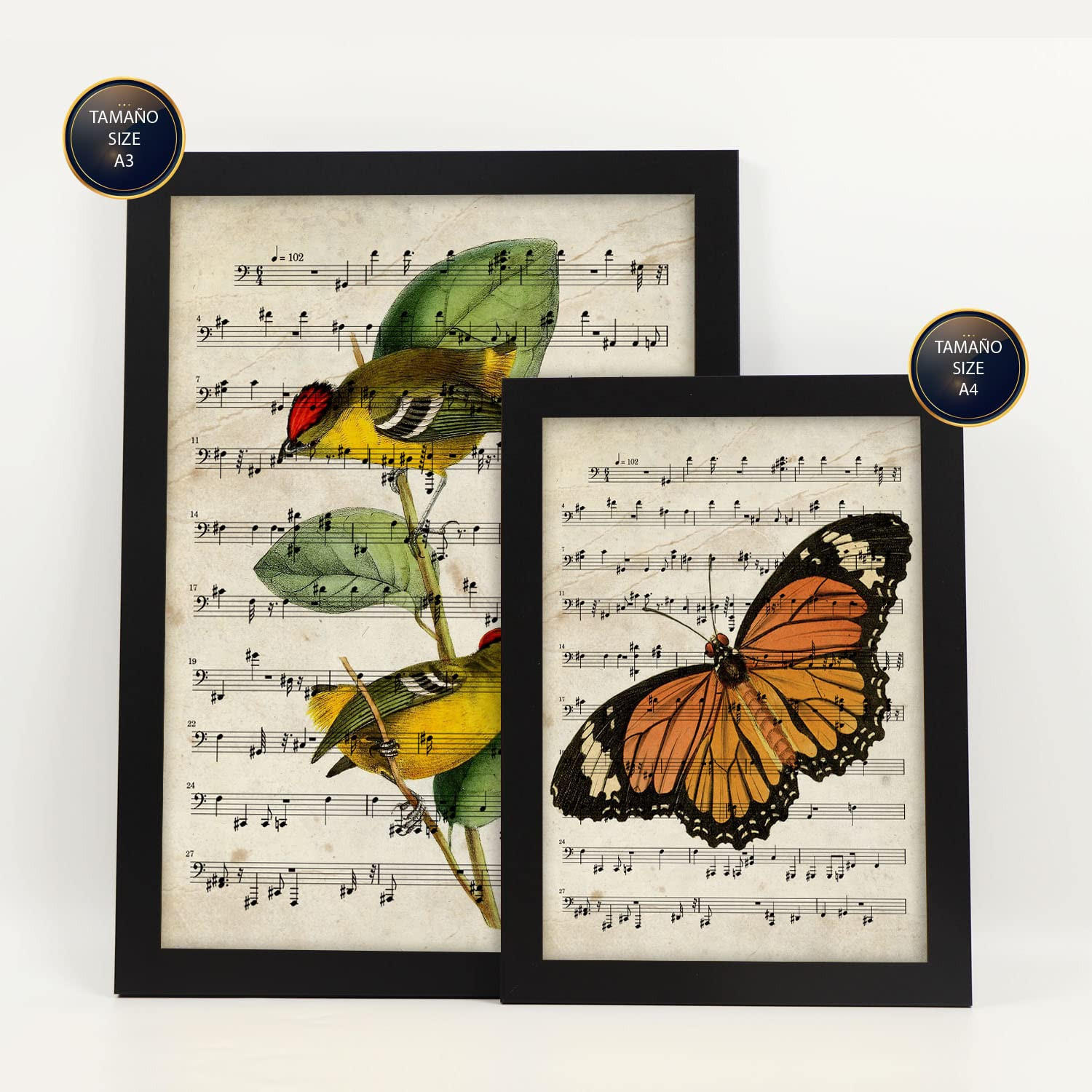 POSTER Set Mit 6 Noten Vintage Papier Stil Plakate Mit Enzyklopädie Hintergründen Natur Und Flug, Vögel Und Schmetterlinge A3 & A4 Schwarzer Rahmen - Schwarz, Papier (29/3cm) - Nacnic