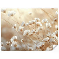 TAPETE - Wild - Blumen - Weiß - 260x200 cm - Creme, Papier (260/200cm) - OnlyWow