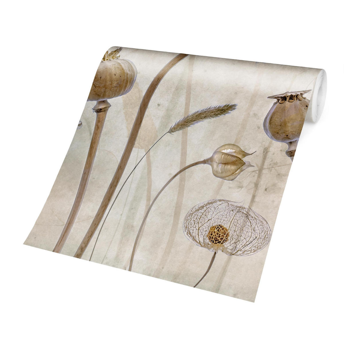 FOTOTAPETE Growing Old 288/190 cm - Eichefarben, Papier (288/190cm) - Bilderwelten