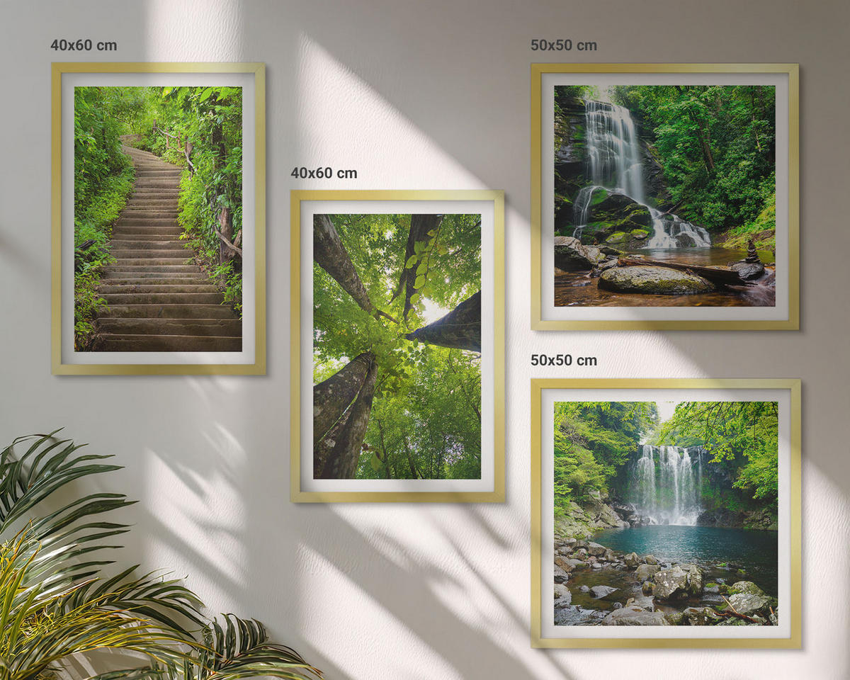 WANDBILDER 4er Set - 50x50 cm & 40x60 cm Goldrahmen - Pfad Wald Wasserfall Vegetation - Goldfarben, Kunststoff (50/50cm) - ArtPrintCave