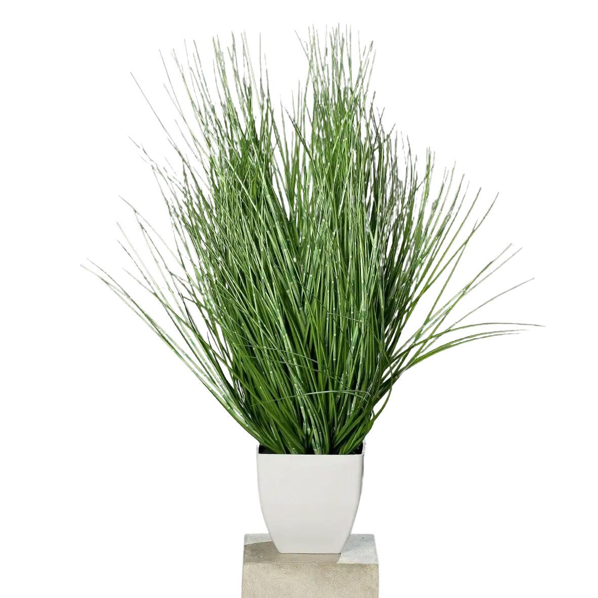 KUNSTPFLANZE Künstliches California-Beach-Gras - Arian 78 cm - Grün, Kunststoff (78cm) - aplanta