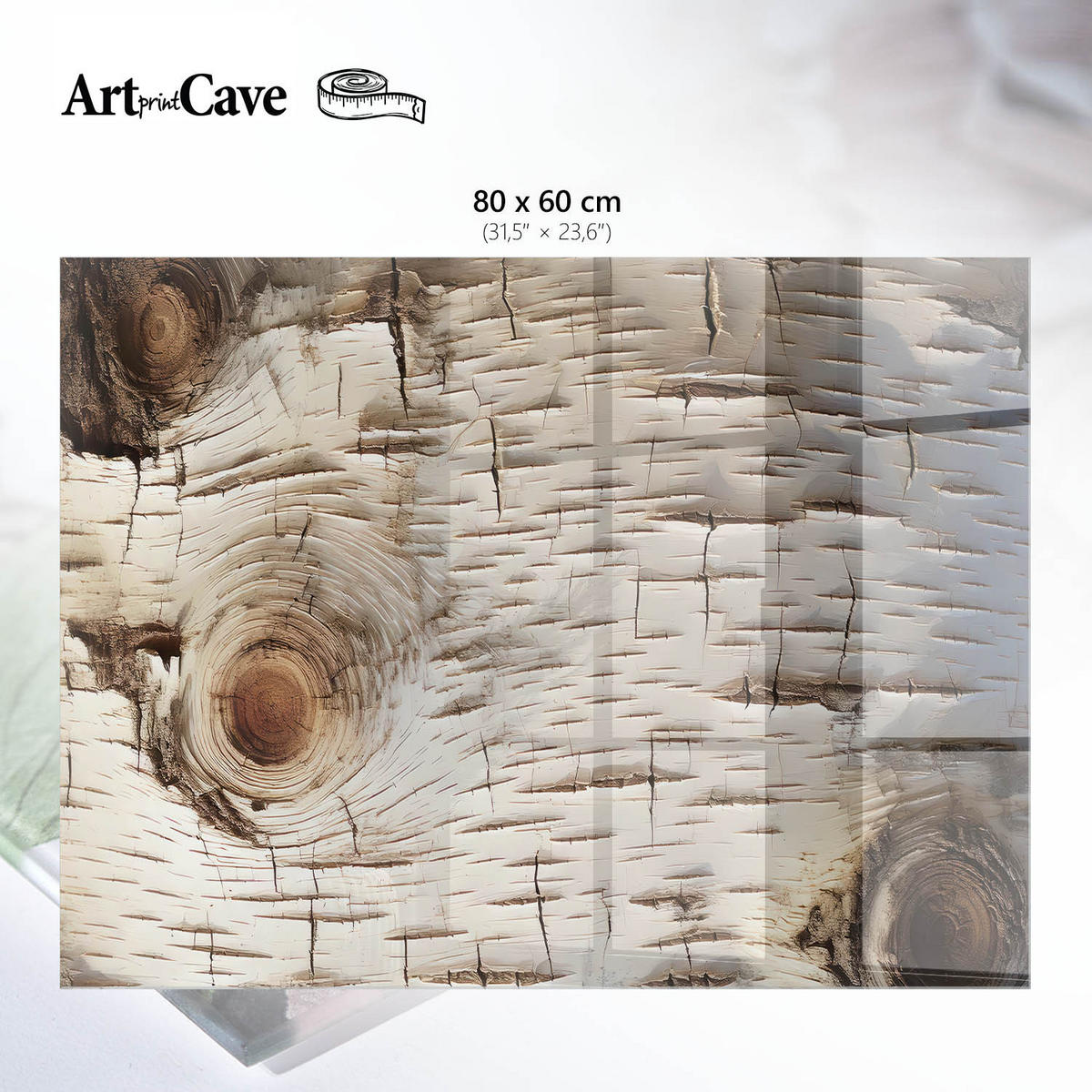 GLASPLATTE 80x60 cm – Birkenrinde - Braun, Glas (0.4/80/60cm) - ArtPrintCave