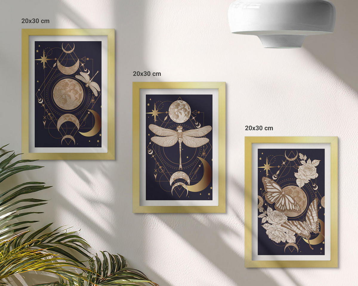 BILDER SET 3er Set - 20x30 cm Goldrahmen - Naturmotive Mondblumen - Goldfarben, Kunststoff (20/30cm) - TULUP