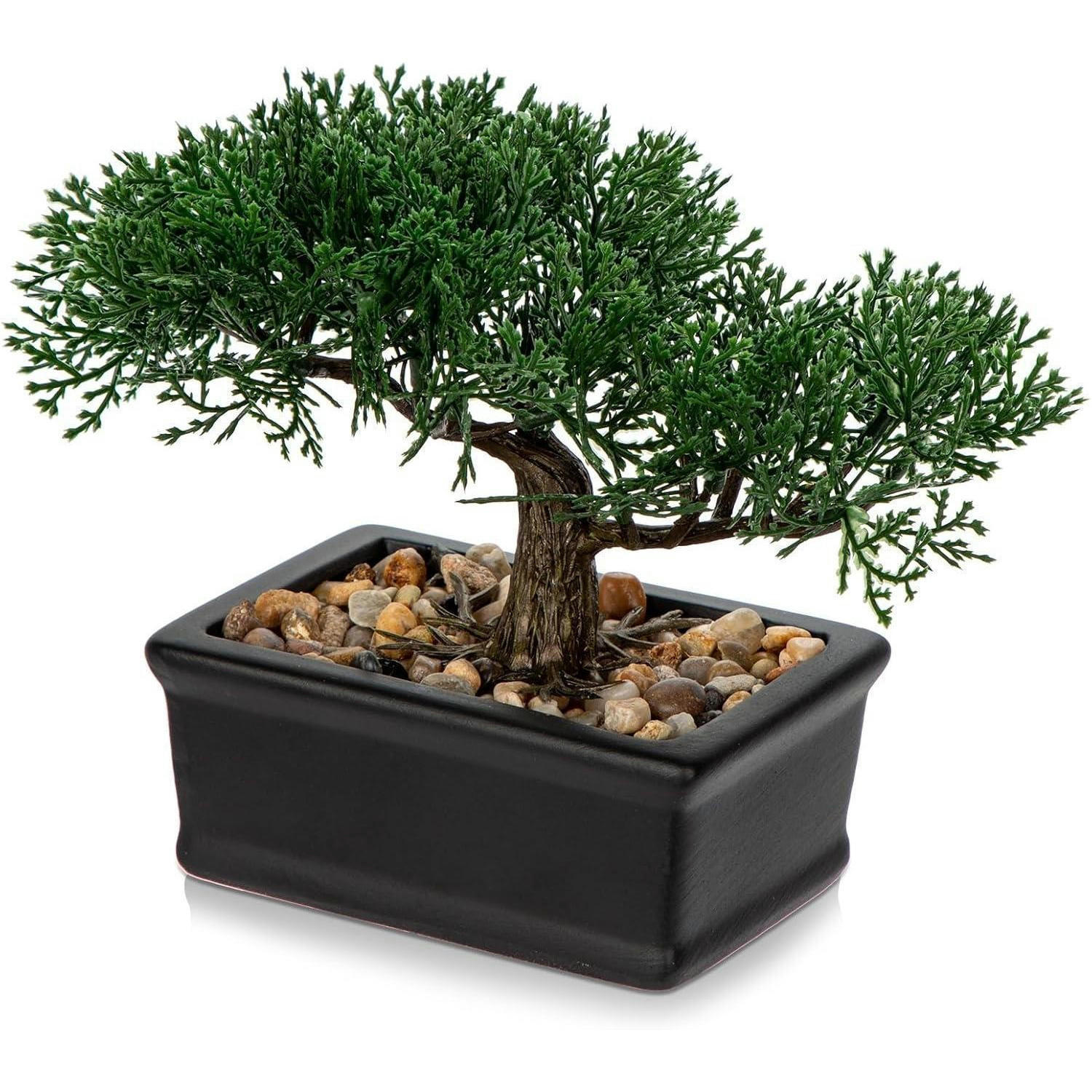KUNSTBONSAI Zeder mit Keramik-Übertopf Schwarz 16.5 cm - Schwarz, Kunststoff (16.5cm)