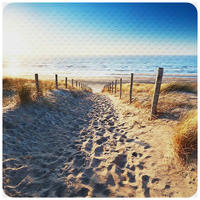 BADEMATTE Düne - Beige, Kunststoff (53/53cm) - Sanilo