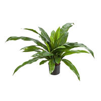 KUNSTPFLANZE Künstlicher Nestfarn - Bidry 80 cm - Grün, Kunststoff (80cm) - aplanta