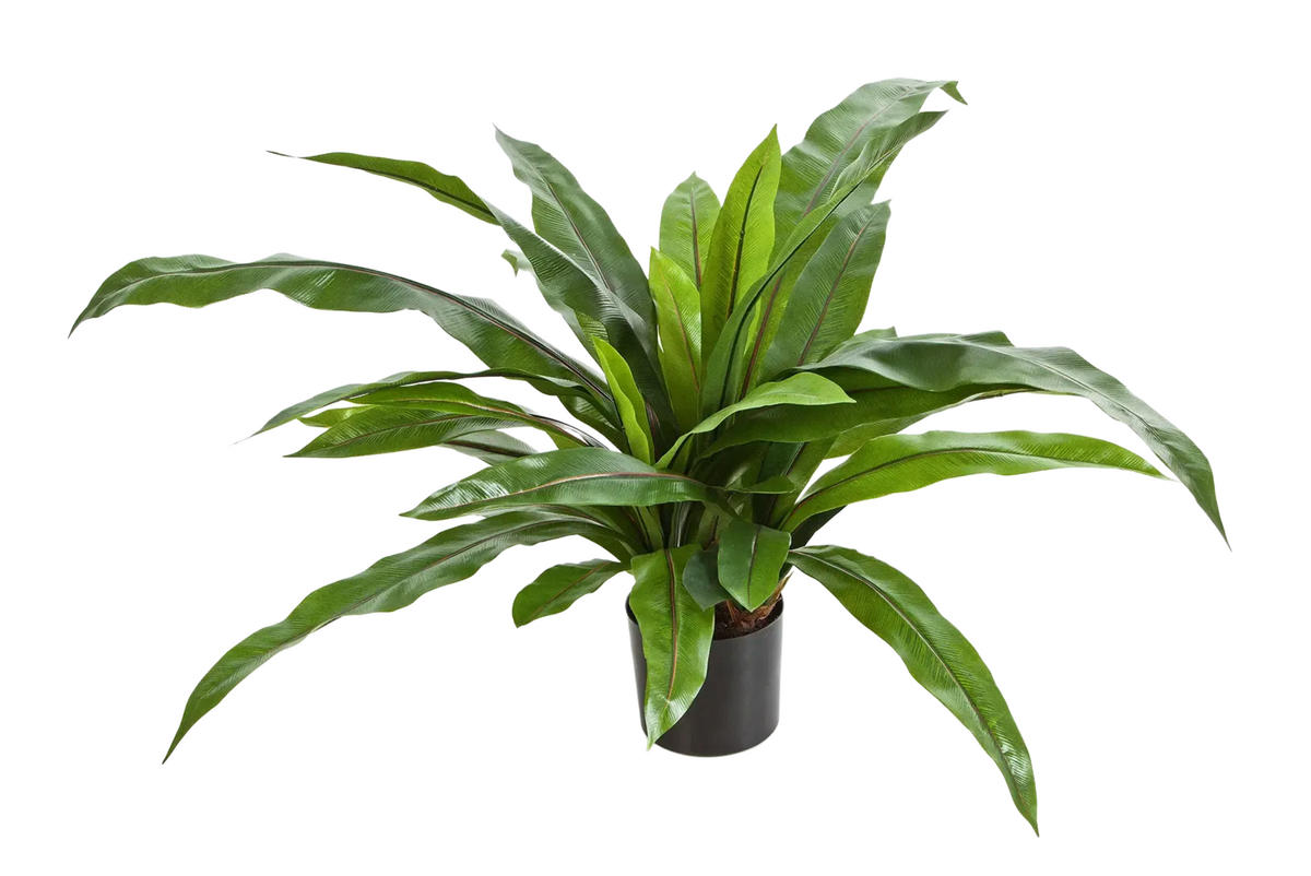 KUNSTPFLANZE Künstlicher Nestfarn - Bidry 80 cm - Grün, Kunststoff (80cm) - aplanta