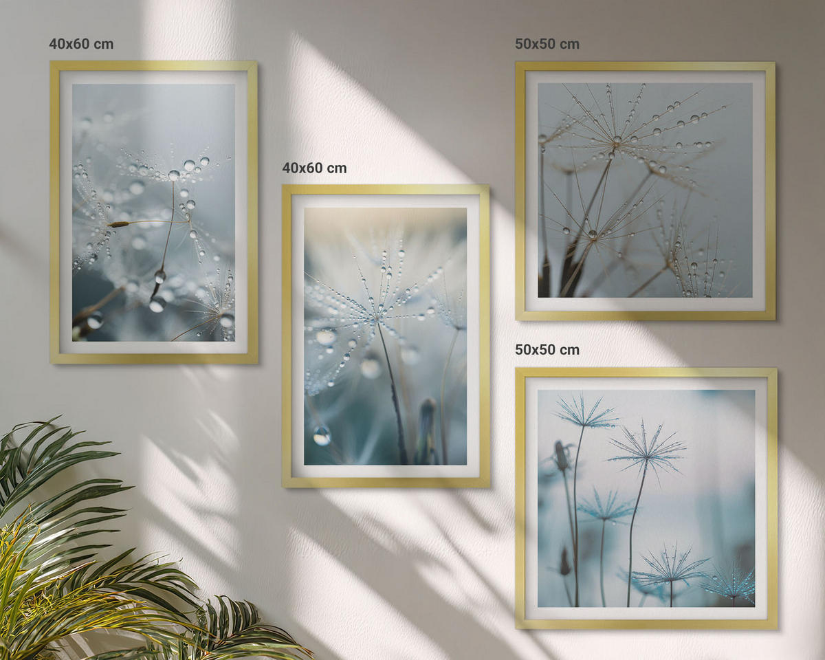 BILDER SET 4er Set - 50x50 cm & 40x60 cm Goldrahmen - Tautropfen auf Löwenzahn - Goldfarben, Kunststoff (50/50cm) - TULUP