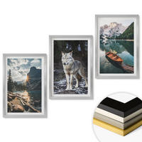 WANDBILDER 3er Set - 40x60 cm Silberner Rahmen - Berge, Seen, Wölfe, Natur - Silberfarben, Kunststoff (40/60cm) - ArtPrintCave