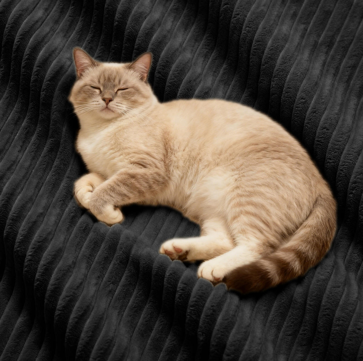SOFA modular Tiefsitz Cord Black montagefrei - Schwarz, Kunststoff (104/69/293cm) - Meubliv