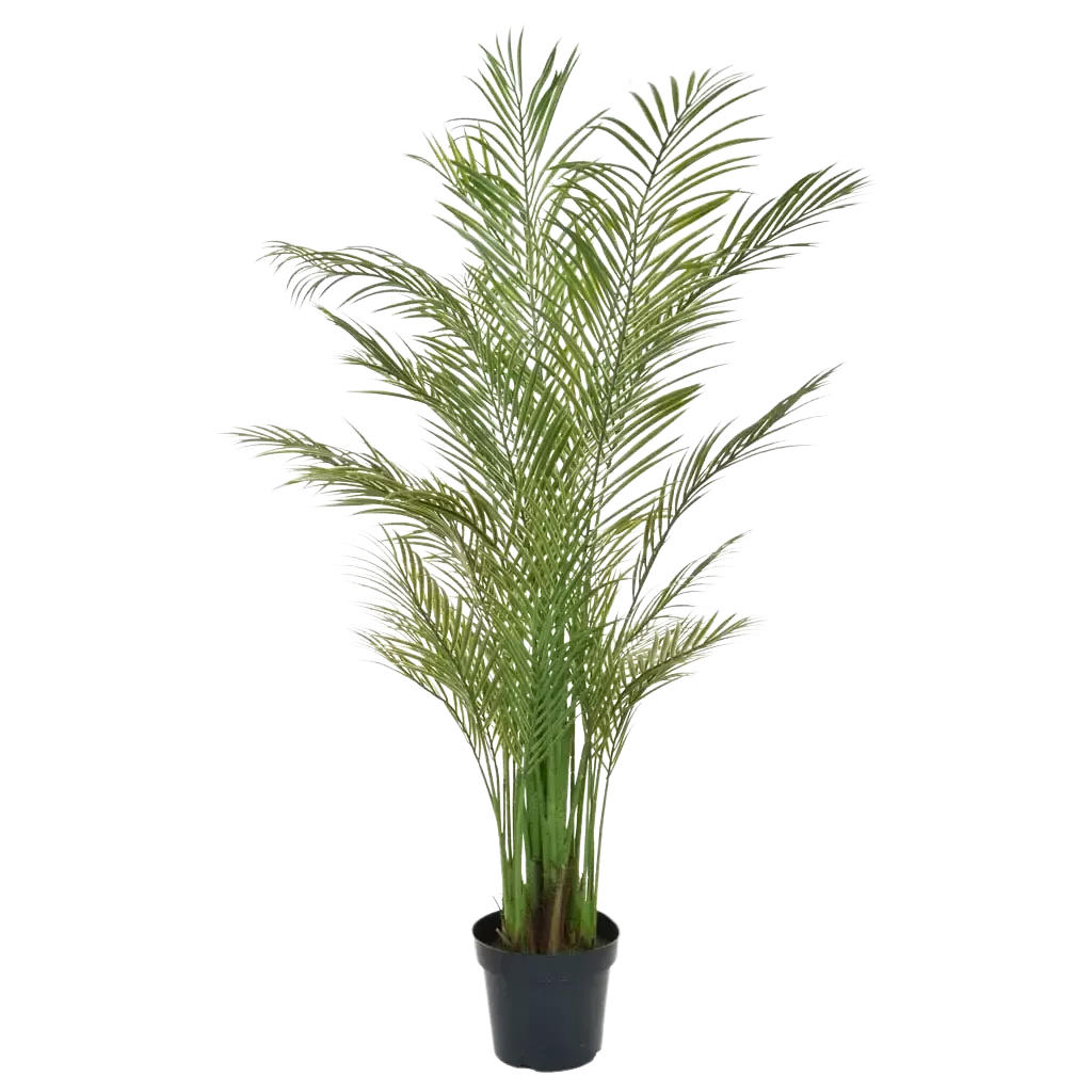 KUNSTBAUM Künstliche Areca Palme - Amelie 180 cm - Grün, Kunststoff (180cm) - aplanta
