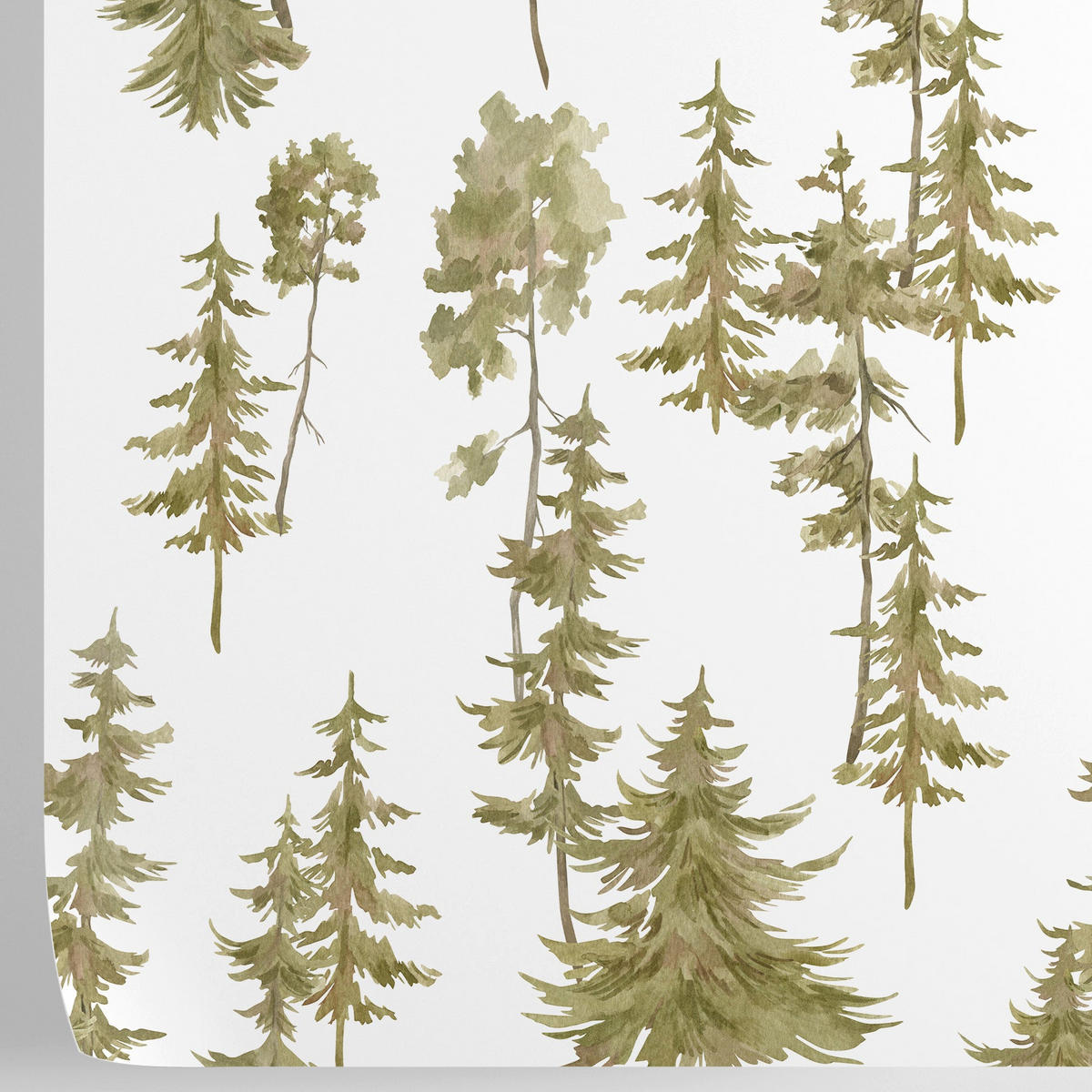 TAPETE Kiefern aus echtem Papier, 200x280cm, 8 Bögen - Grün, Papier (200/280cm) - WALLPAPERS4BEGINNERS