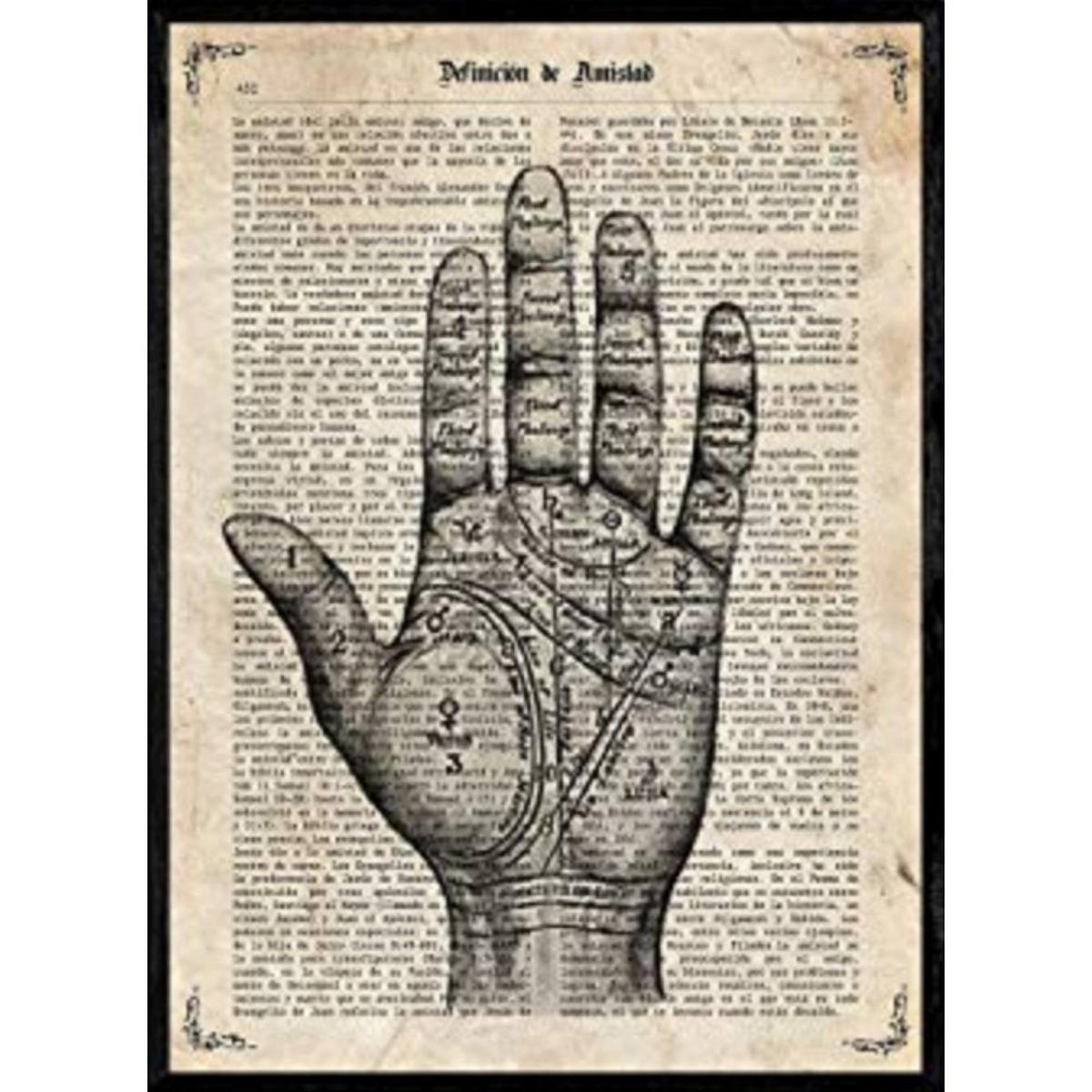 POSTER Handlesen A4 Rahmenlos - Klar, Papier (29.7/5/21cm) - Nacnic