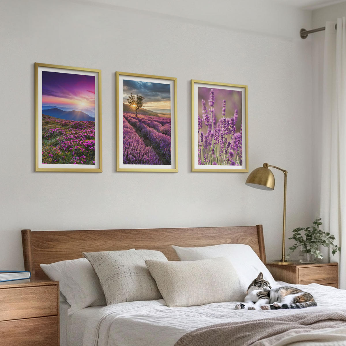 BILDER SET 3er Set - 40x60 cm Goldrahmen - Sonnenuntergang auf Lavendelfeldern - Goldfarben, Kunststoff (40/60cm) - TULUP