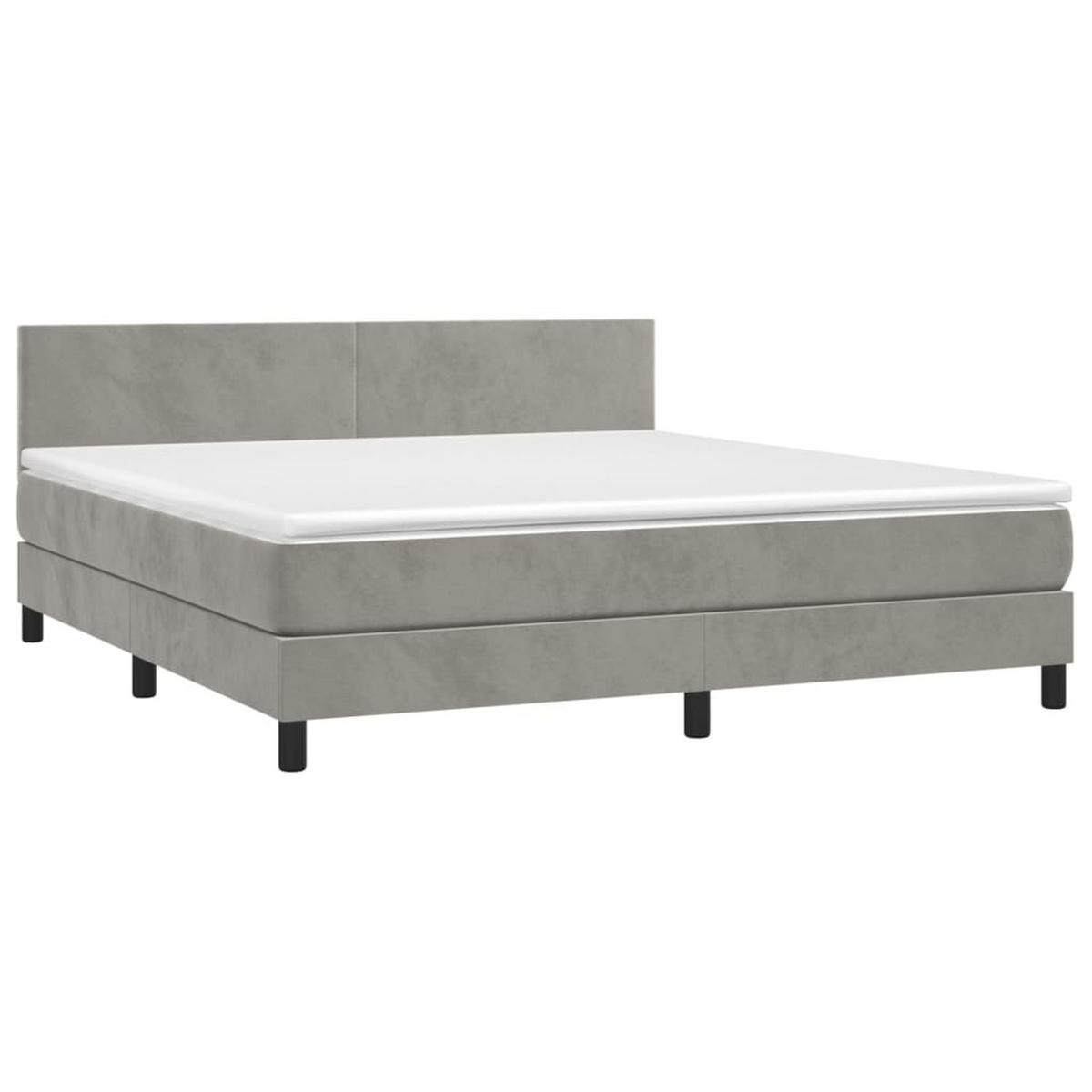 BOXSPRINGBETT 160/200 Cm Grau Samt - Grau, Textil (160/203cm) - vidaXL