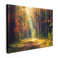 LEINWANDBILD Wald - Herbst - Bäume Wandbilder 80x60 cm - Dunkelgrün, Textil (80/60cm) - MuchoWow