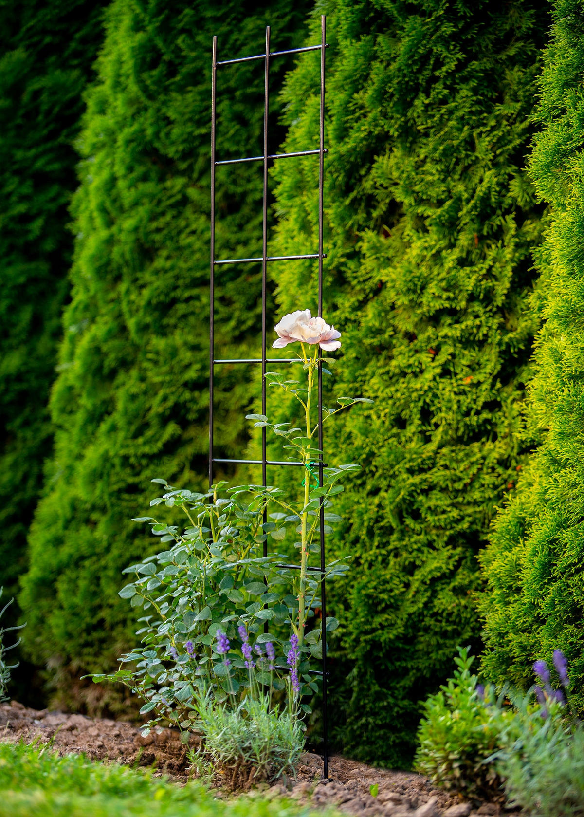 BLUMENGITTER 35 x 120 cm, Schwarz - Schwarz, Metall (35/120cm) - KADAX