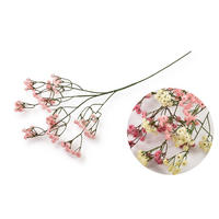 KUNSTBLUME Viridis Gipsputz Rosa 60/60/60 cm Kunstoff - Hellrosa, Kunststoff (60cm) - Mondex