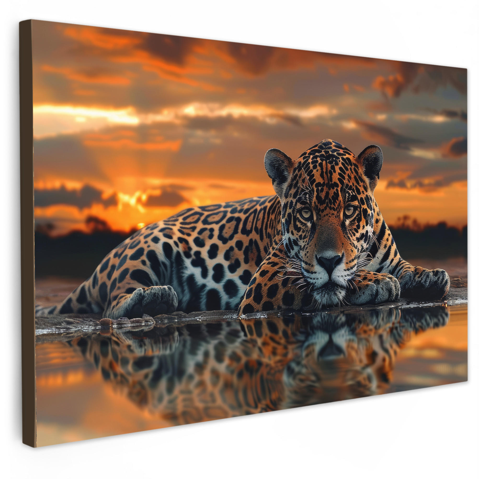 MuchoWow OBRAZ NA PLÁTNĚ Příroda - Leopard - Zvíře - Západ slunce - Moderní 90x60 cm