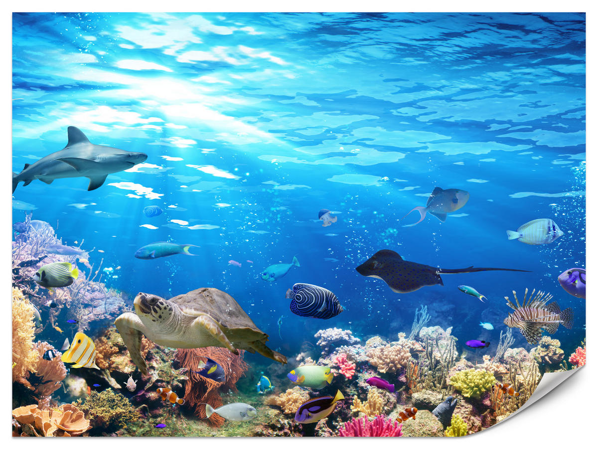 FOTOTAPETE für Badezimmer Korallenriff Schildkröte Hai Fisch 200x140 - Blau/Gelb, Papier (200/140cm) - Muralo