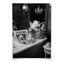 POSTER für Badezimmer WC SCHWEIN in Badewanne Zeitung Abstraktion 30x40cm - Schwarz/Weiß, Papier (30/40/1cm) - Muralo