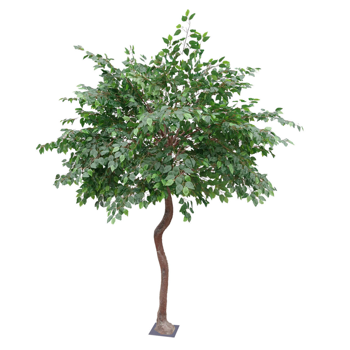 BANYAN, Künstlich - Grün, Textil (290cm) - Oviala