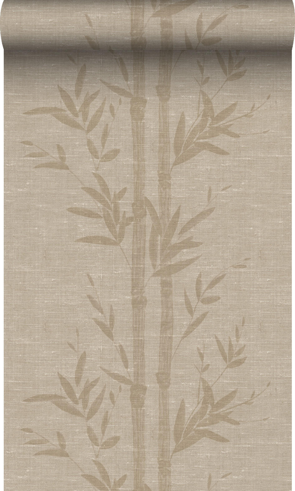 TAPETE Bambusmuster 50 x 900 cm - Beige, Papier (50/900cm) - Origin Wallcoverings
