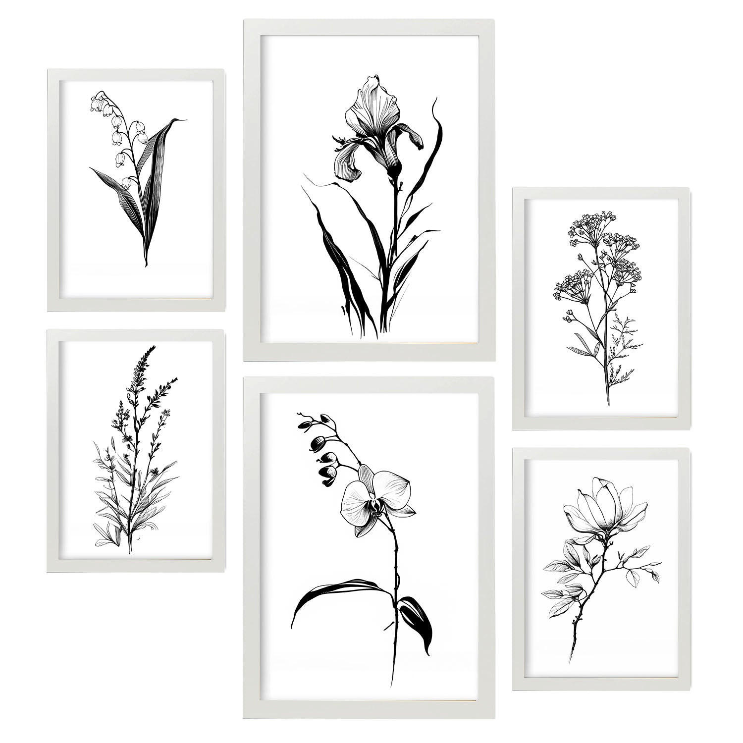 POSTER Set Mit 6 Zarte Blumen Natur Und Botanikdrucke Mit Blumenmotiven In Klassischem Schwarz Und Weiß Innenarchitektur A3 & A4 Weißer Rahmen - Weiß, Papier (29/3cm) - Nacnic