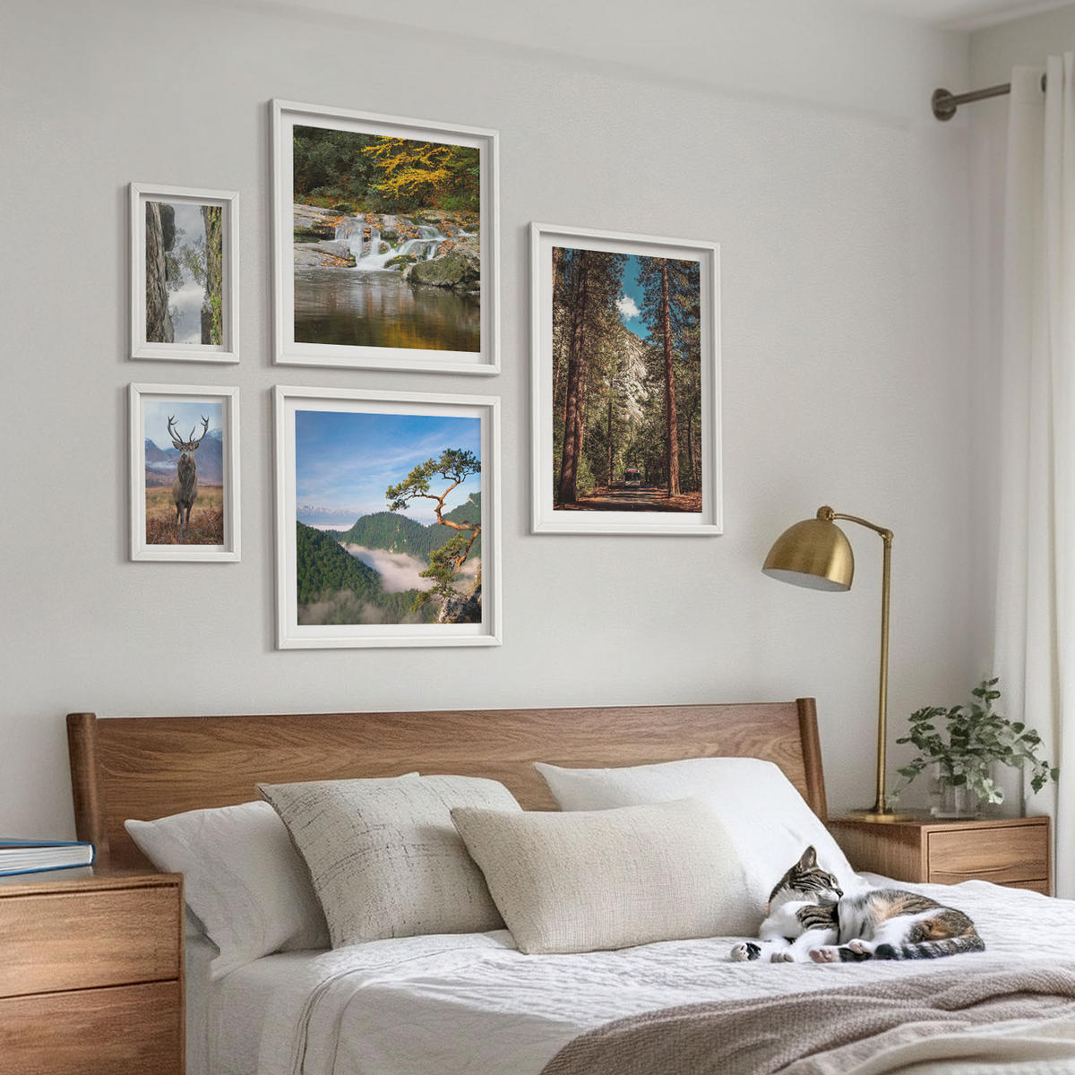 WANDBILDER 5er-Set - 50x50 cm & 20x30 cm & 40x60 cm Weißer Rahmen - Wasserfall Wald Berge Hirsch Natur - Weiß, Kunststoff (40/60cm) - ArtPrintCave