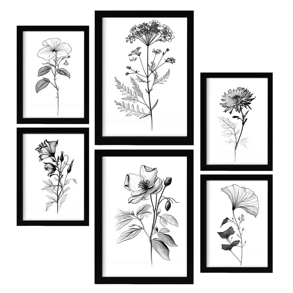 POSTER Set Mit 6 Blühende Blumen Blumenmotiven In Klassischem Schwarz Und Weiß A3 & A4 Rahmenlos - Klar, Papier (29/3cm) - Nacnic