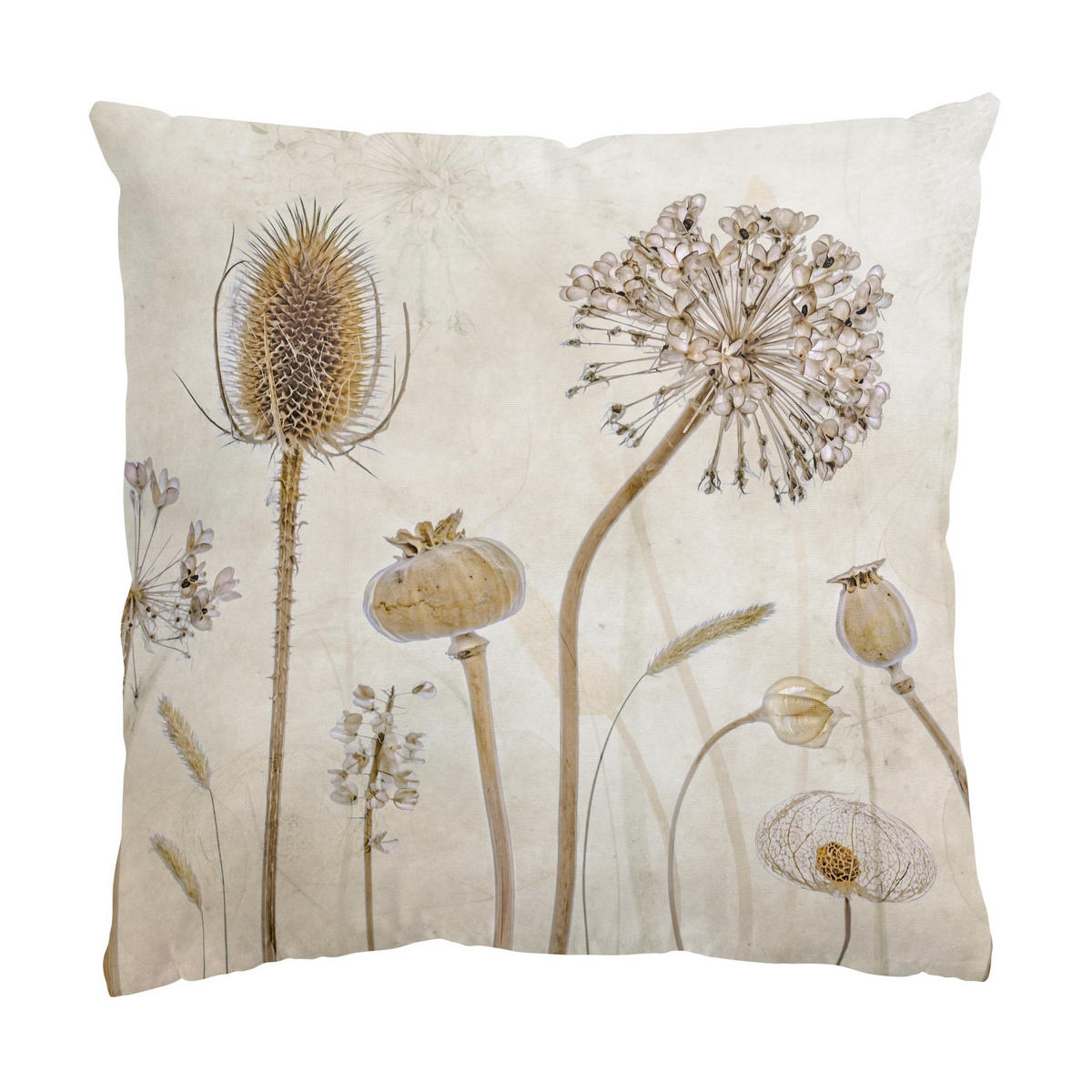 KISSENBEZUG Growing Old 40/40 cm - Eichefarben, Textil (40/40cm) - Bilderwelten