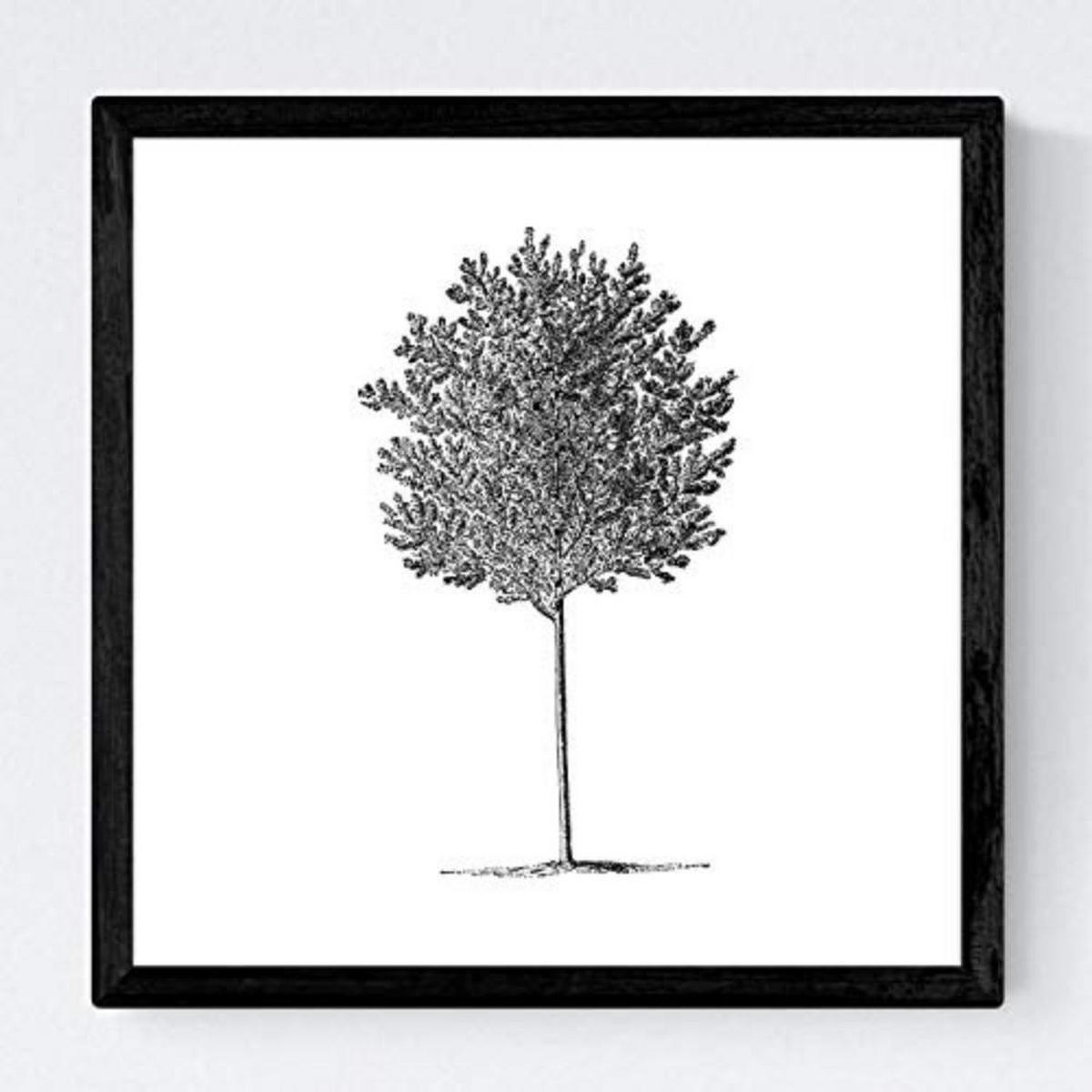 POSTER Set mit 4 Blättern der Bäume in weiß 20x20cm Schwarzer Rahmen - Schwarz, Papier (20/3cm) - Nacnic