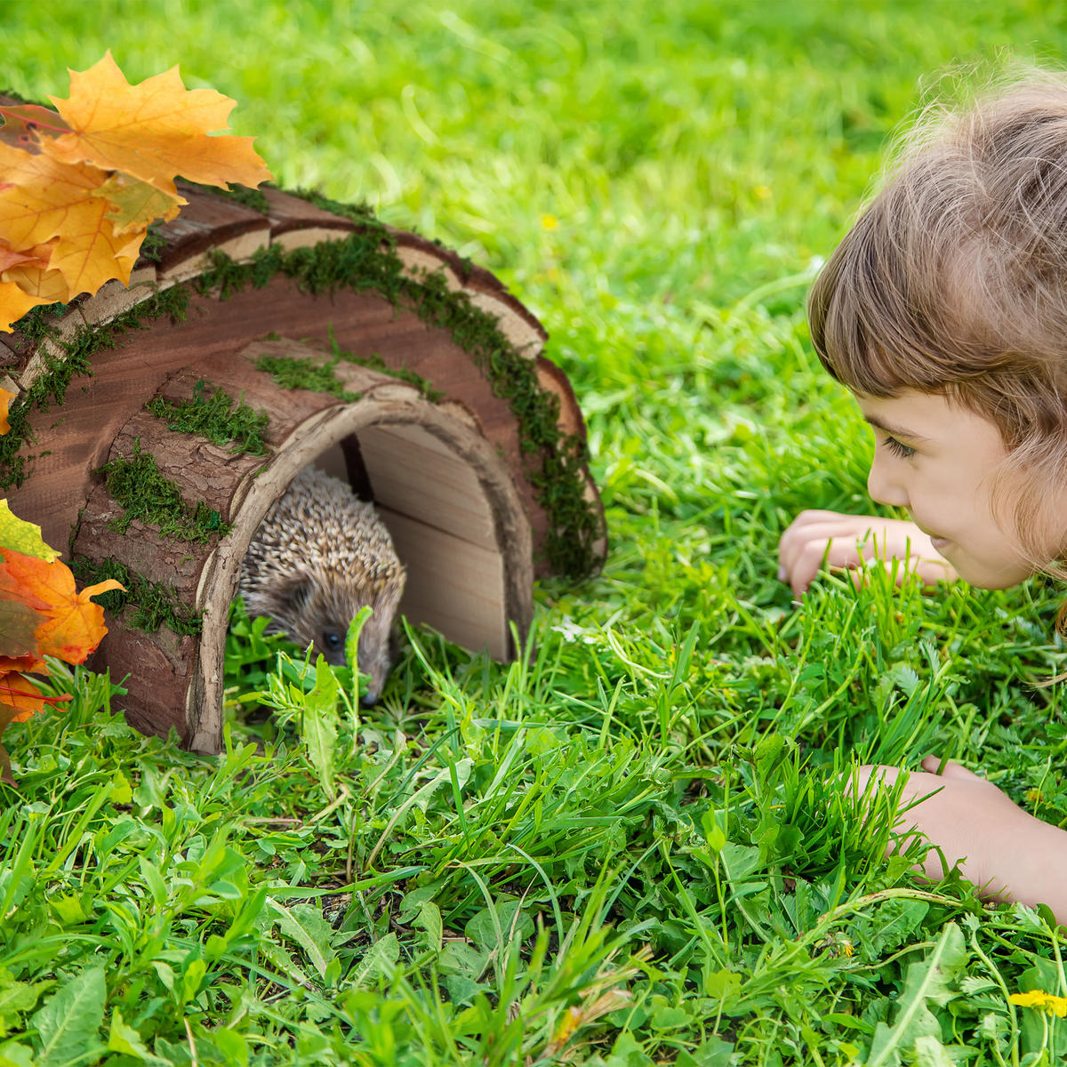 IGELHAUS - Multicolor, Naturmaterialien/Holz (40/20/42cm) - Relaxdays