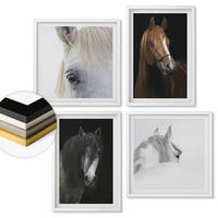 WANDBILDER 4er-Set - 50x50 cm & 40x60 cm Weißer Rahmen - Pferdeporträts in Schattierungen - Weiß, Kunststoff (50/50cm) - ArtPrintCave