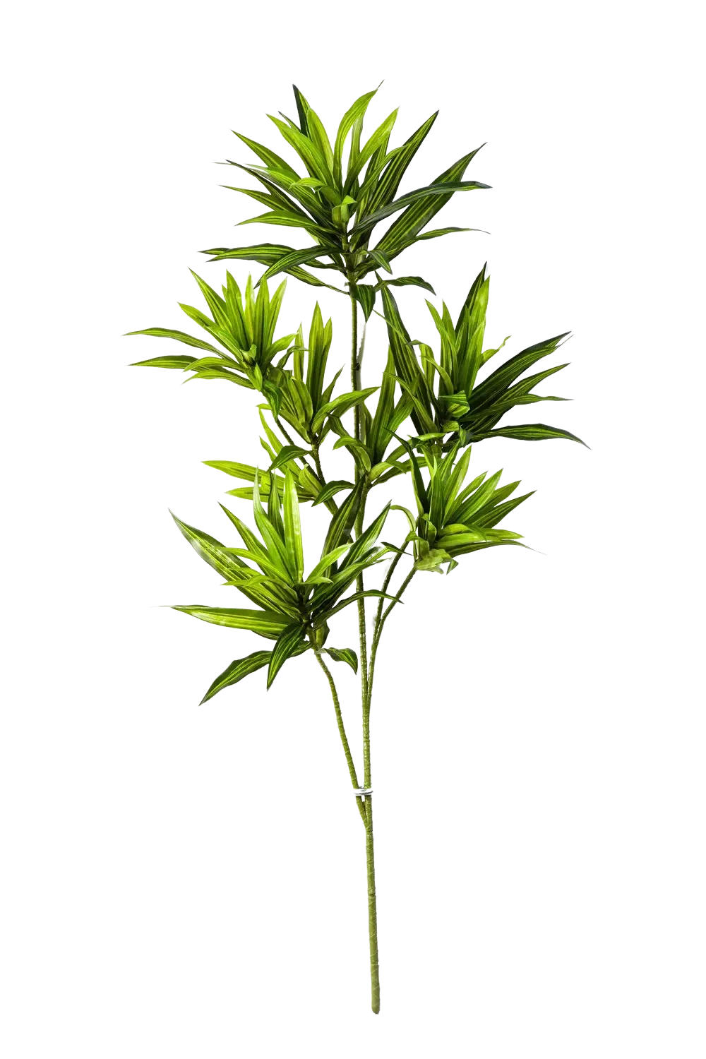 KUNSTPFLANZE Künstlicher Drachenbaum-Zweig - Gian 70cm - Grün, Kunststoff (70cm) - aplanta