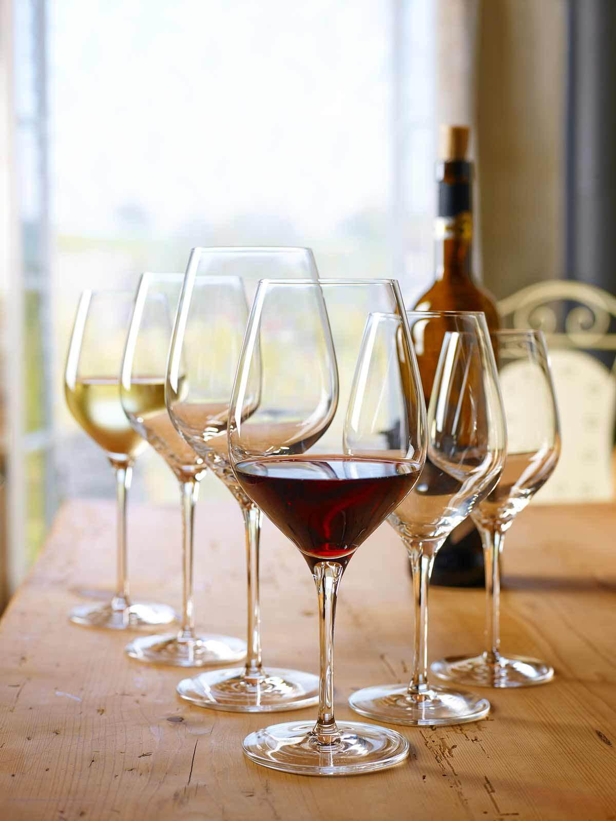 WEIN- UND SEKTGLÄSER Exquisit transparent 18er Set - Transparent, Glas - Stölzle Lausitz
