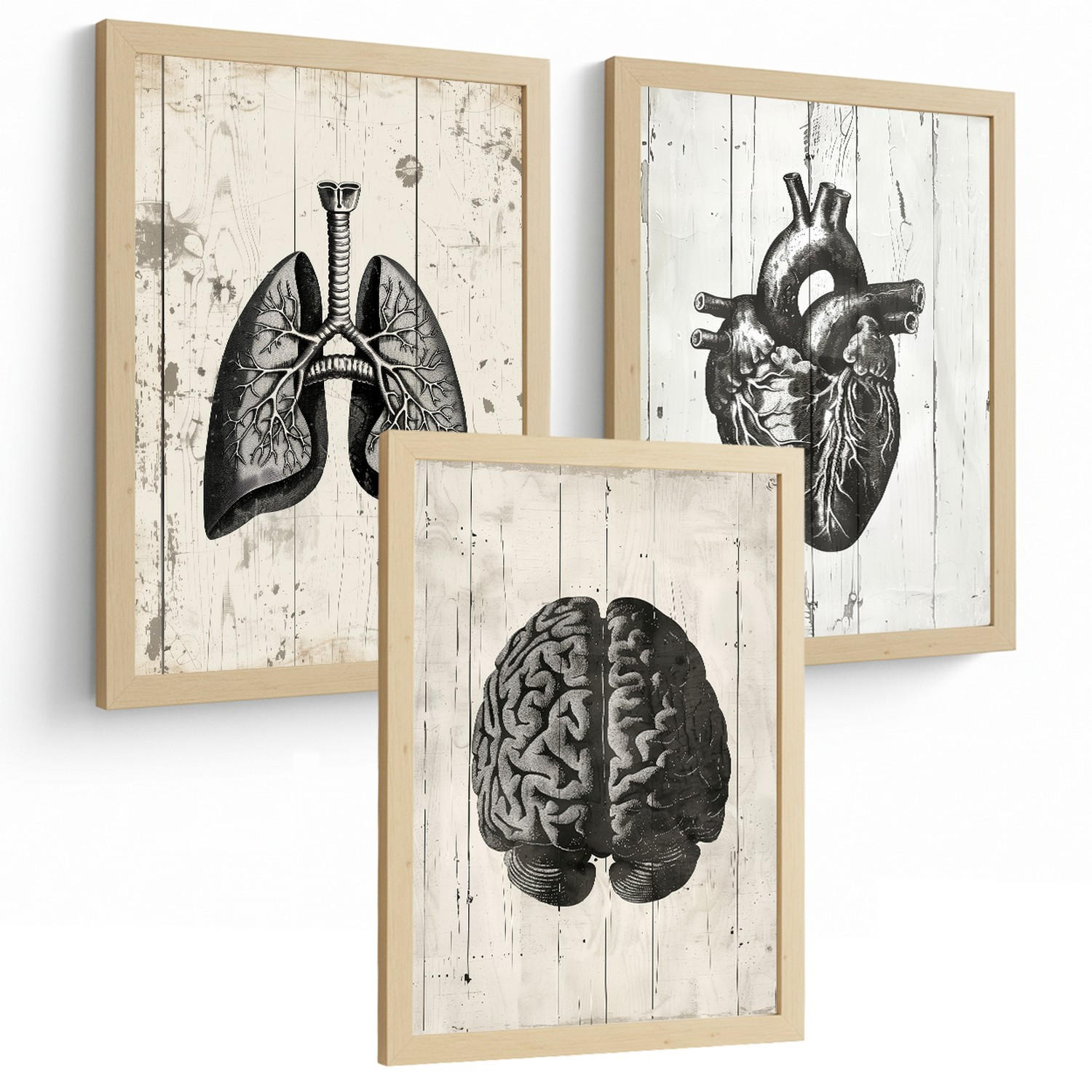 POSTER Set aus 3 Anatomie Mensch Drucke und Wandbilder mit Gehirn Herz Lungen Luftröhre Bronchien Industrielles Schwarz Weiß Design Größe Rahmenlos A4 - Klar, Papier (21/29.7/3cm) - Nacnic