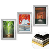 WANDBILDER 3er Set - 20x30 cm Silberner Rahmen - Fuji-Bambuswaldlandschaft - Silberfarben, Kunststoff (20/30cm) - ArtPrintCave