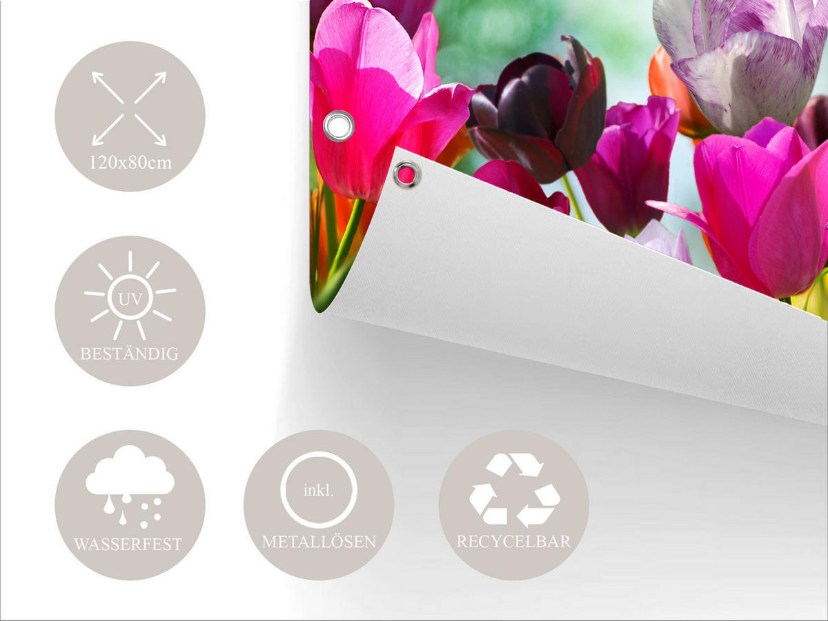 GARTEN-POSTER 120x80 cm Blumen bunt - Rosa, Kunststoff (120/80/2cm) - artissimo