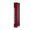 APOTHEKERSCHRANK Fame-Line Bordeaux Hochglanz 30 cm - Bordeaux/Anthrazit, Holzwerkstoff (30/207/58cm) - Vicco