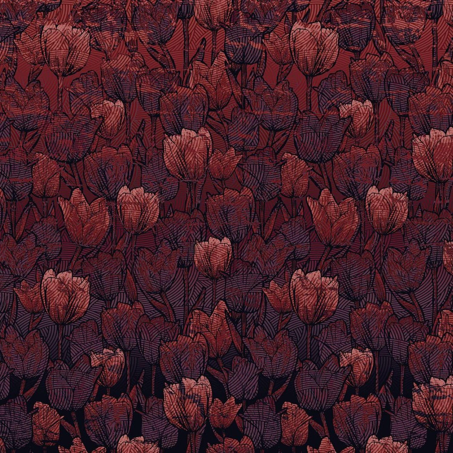 FOTOTAPETE Tulpen 400 x 280 cm - Rot, Papier (400/280cm) - Sanders & Sanders