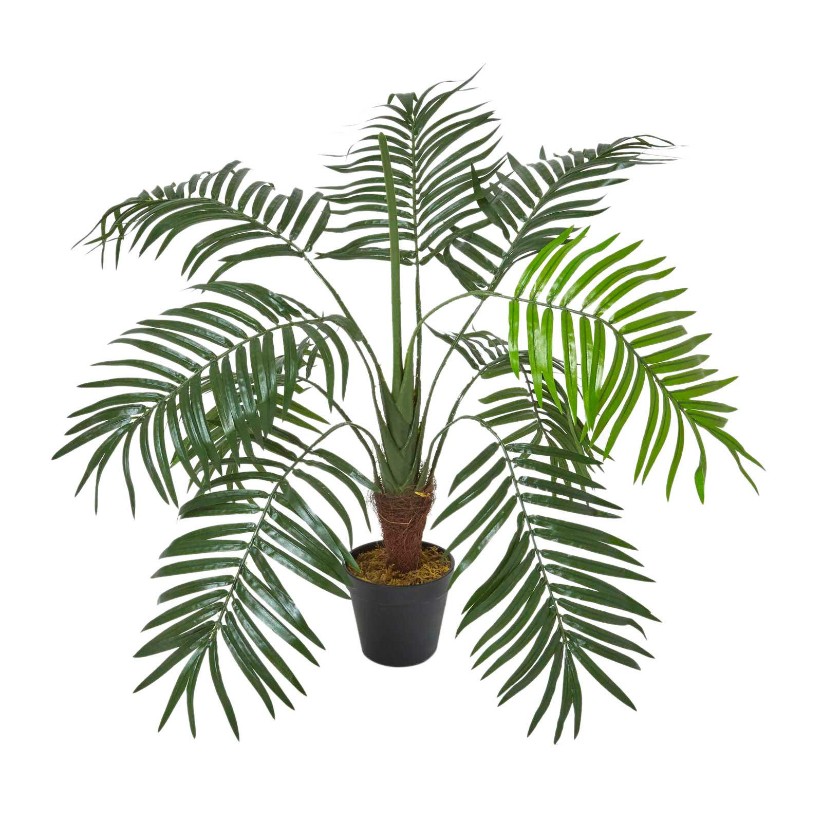 Homescapes Kunstpalme Grün 70 cm
