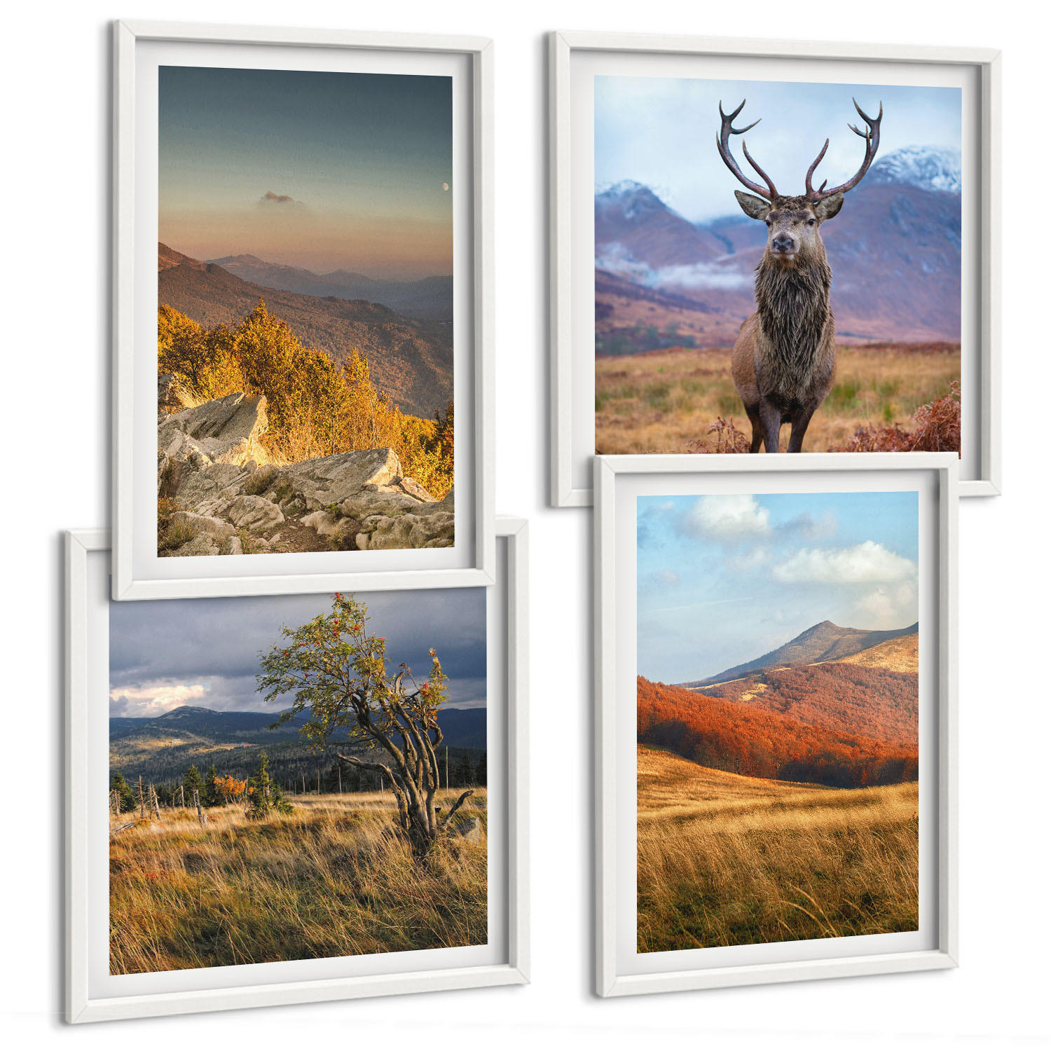 BILDER SET 4er Set - 50x50 cm & 40x60 cm Weißer Rahmen - Berglandschaften, Hirschgras - Weiß, Kunststoff (50/50cm) - TULUP