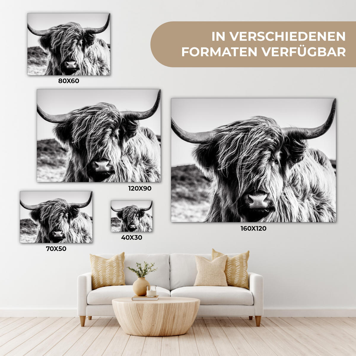 LEINWANDBILD Kuh - Schottischer Hochländer - Schwarz - Weiß - Tier - Natur - Wildtiere Wandbilder 80x60 cm - Schwarz, Textil (80/60cm) - MuchoWow