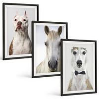 BILDER SET 3er Set - 40x60 cm Schwarzer Rahmen - Elegante Porträts von Hunden und Pferden - Schwarz, Kunststoff (40/60cm) - TULUP