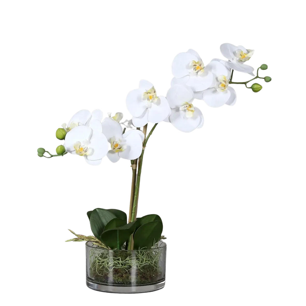 KÜNSTLICHE Orchidee - Saitama 40 cm in Glasschale - Weiß, Kunststoff (40cm) - aplanta