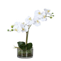 KUNSTBLUME Künstliche Orchidee - Saitama 40 cm in Glasschale - Weiß, Kunststoff (40cm) - aplanta